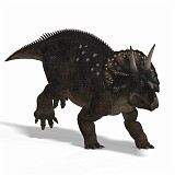 Diceratops DAZ 05A_0001